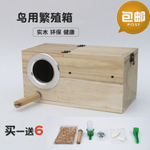 Solid wood tiger skin peony parrot breeding box nest box birds nest bird cage send sawdust with anti-bite circle