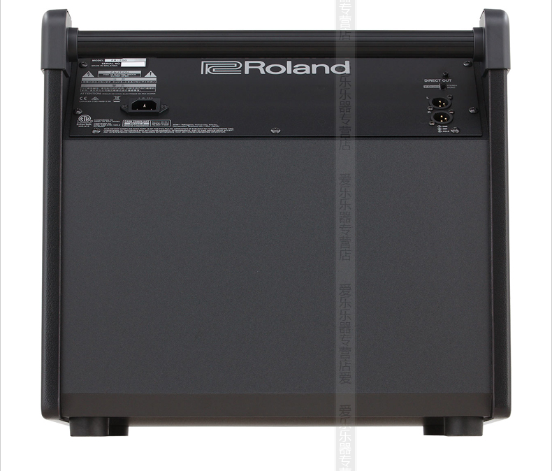 Акустическая система Roland PM100 PM03 PM-200 PM10 Акустическая система Roland PM100 PM03 PM-200 PM10
