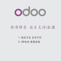 odoo Technical Support rescue troubleshooting