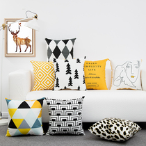 Simple style geometric living room sofa pillow short velvet BAO WEN pillow double-sided printing thickened cushion model room decoration