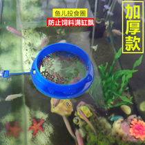 Fish food feeding ring fish feeding ring fish feeding ring thick aquarium floating feeding ring with suction cup