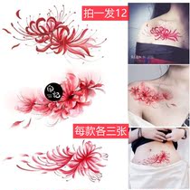 Peer tattoo attached to Manzhusha Waterproof Large Korean Waterproof Little Fresh Sexy Clock Bone Small Ceiling Arm