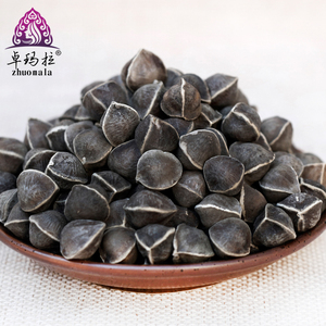 【印度大果500g】辣木籽 印度进口包邮 野生食用辣木子1斤装 正品