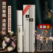 Flaming Birds Thick mascara with long roll of mascara thick and waterproof without fainting and lock color easy to remove