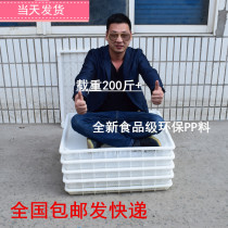 Plastic square grid drying plate flat drying plate sea cucumber turnover plate thickening drying seafood vegetarian special drain