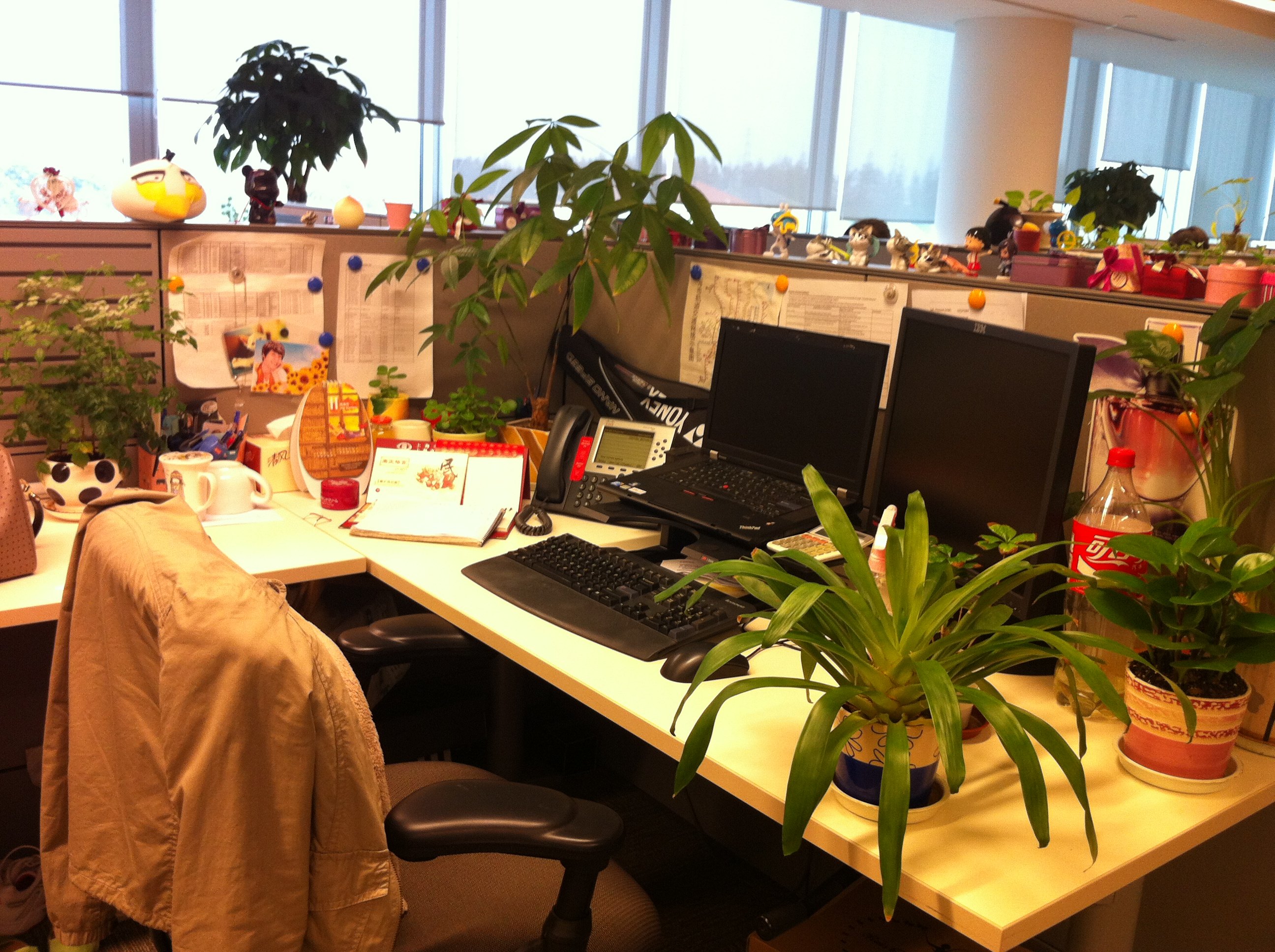 大部分上班族工作的时候是离不开电脑的,用眼过度导致的后天近视已经