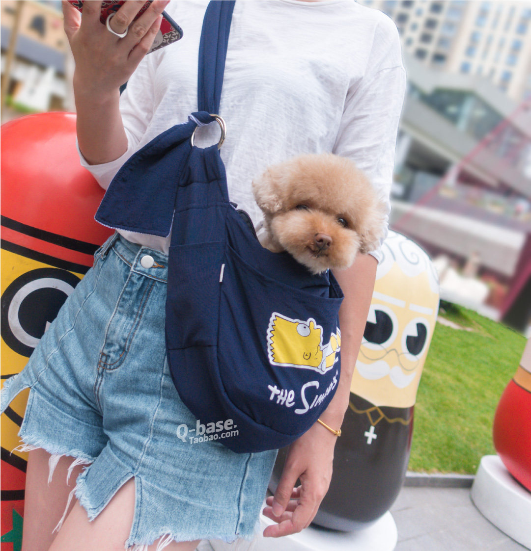 宠物外出便携包狗狗背包 透气 装小狗泰迪外出背狗便携包袋