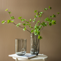 Salty Wind Nordic Face Glass Vase-Like Inter-Room Living-room Living-room Floral Floral Home Soft Decoration