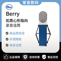 Blue Berry Blueberry Vibrium Special Capacitance Microphone Net Red anchor microphone K song recording studio equipment