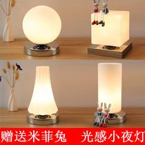 Small table lamp Touch-sensitive remote control dimmable bedroom bedside lamp Simple and warm decoration LED feeding night light