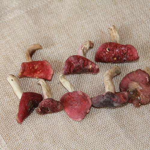深山野生红菇 食用红菌 炖汤食用菌 血红菇大红菇菌 新货200克