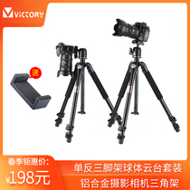 Wittley 3080 Professional Camera Tripod Camera Track Photography Bracket Slide Rail SLR Spherical gimbal Set