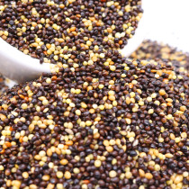 Five millet parrots feed mixed food solar xuan feng Tiger parrot niao food niao liang 2 5kg