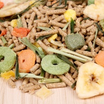 Comprehensive nutrition of young rabbit grain into rabbit grain deodorant anti-coccidia Ingredients 500g 5kg more provinces