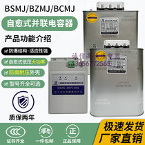 Shanghai Wisecom BSMJ0 4 0 45-15 20 25 30 40 Three-phase compensation shunt power capacitor