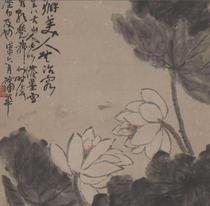 Qingbushua < Lotus Flower axis > Ultra-high-Qing electronic picture decoration spray-drawing identification of the painting material of the country