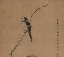 Qing Li Yin Ammonites Songbird Picture ultra-high-definition electronic picture decoration spray painting identification copy Chinese painting material