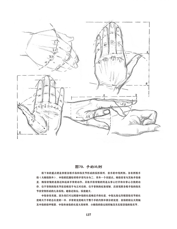 2册 路米斯经典美术课-人体素描 头手素描 西方经典美术技法译丛 艺术
