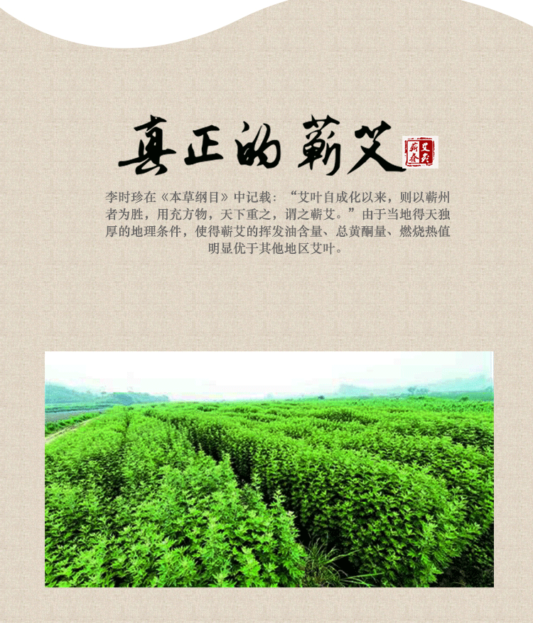 蕲艾条蕲春温灸条艾绒条艾叶艾草灸条非同仁堂五年十年手工包邮