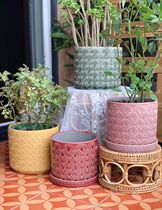 MimiHome Ice Cracks Dandelion Series Green Plant Flower Pots Ceramic Florware Outlet Foreign Designers