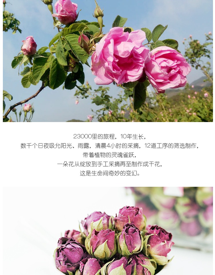 【塔泽-玫瑰花】大马士革玫瑰花 姨妈经期饮 散装送瓶 88包邮