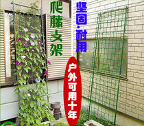 Clematis rose rose plant climbing climbing wall flower bracket vegetable results plastic pillar flower stand