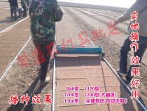 New original hand push seedbed greenhouse flat plate planter planting artifact sowing machine machine inserted rice vegetable flower