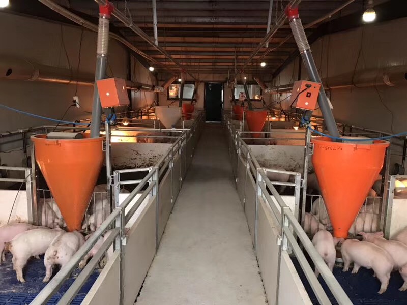 效益分析:1,每台设备可饲喂40-50头3,每年可使用6.