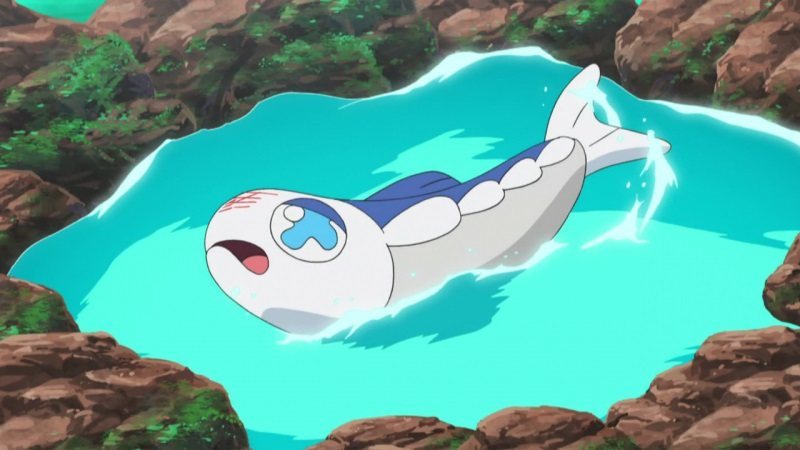 胖丁还补充过进化前的状态,而且图鉴上的编号透露了花疗环环进化的