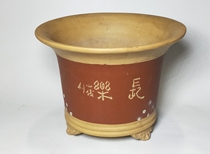 Purple Sand Purple Sand Segment