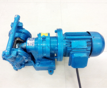 DBY-15 Electric Diaphragm Pump 380 Industrial Diaphragm DN10 Self-priming Sewage Chemical Water Pump Sewage Treatment 220V
