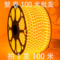LED light belt 100 meters light belt strip super waterproof outdoor engineering breeding site 2835 3014 5730 light belt