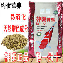 Shenyang koi feed bred germ bright red silk Kang super color Kang increase body 10kg fish food health and promote digestion
