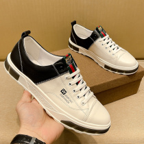 ㊣Dieatero㊣ Designer European luxury brand counter