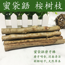 Eucalyptus branch honey bag scorpion molar stick disinfection deodorant natural fresh eucalyptus leaf bedding deodorant supplies snack food