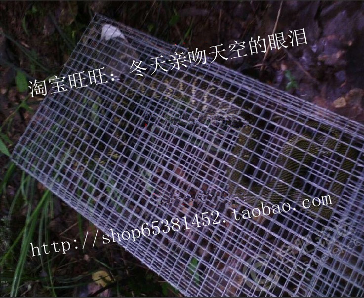促销诱蛇神器捕蛇笼野外必备捕蛇器热电镀捕引蛇药