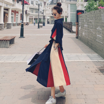 French vintage long-sleeved shirt dress womens autumn 2020 spring and summer new temperament waist thin Hepburn style long dress