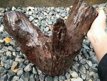 Cross-toe yellow sandalwood Laos big red acid branches red wood corners wood carving material with shape process material swing piece base material D