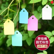 Fleshy flower seed greenhouse experiment label tag tag seedling Fruit Forest sign board 100 waterproof sheet