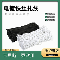 10 12 15 20cm cm Garden tied vine branches Data power cord earphone wire tie wire tie wire tie wire tie wire tie wire tie wire tie wire tie wire tie wire tie wire tie wire tie wire tie wire tie wire tie wire tie wire