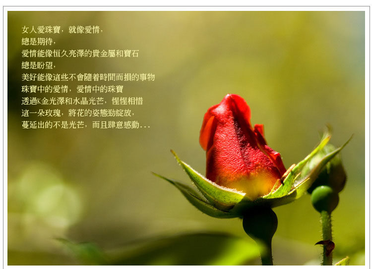 淘缘 玫瑰花语 韩国韩版水晶长款项链毛衣链 高档时尚饰品批发