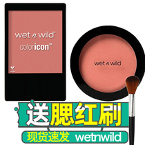 Wet and wild blush disc wetnwild a drunken party Hugh w3282 328B California sunshine wet n wild