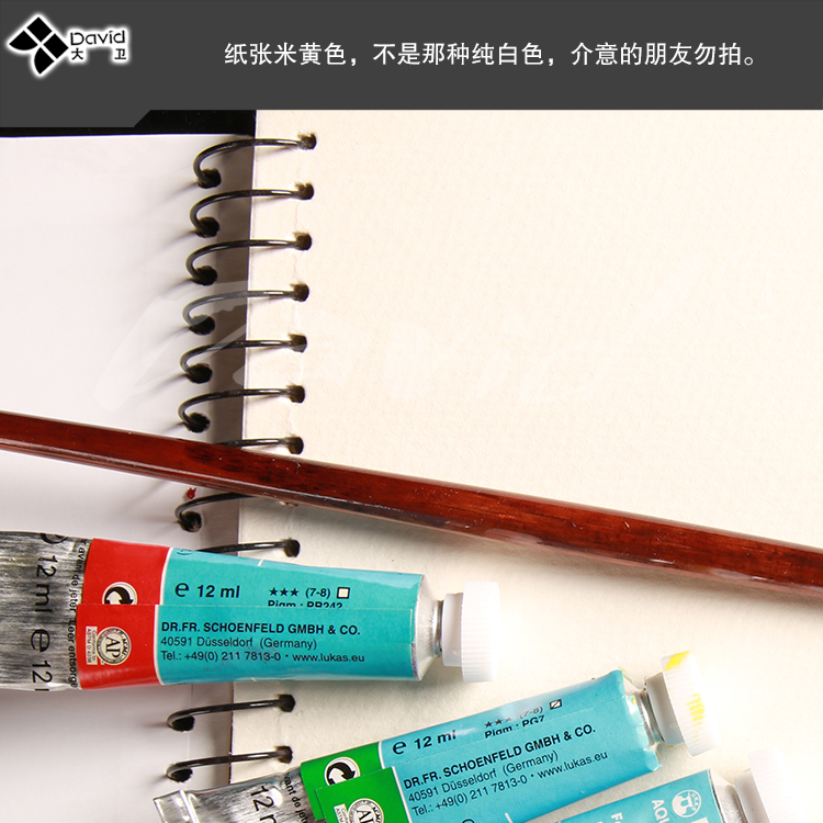 sketchBOOK David 8K16K 30 sketchBOOK David 8K16K 30