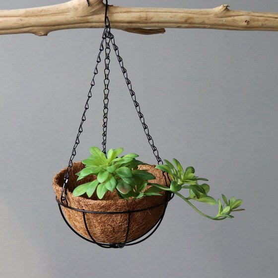 Plant green plant hanging basket, iron hanging basket flower pot, flower basket home balcony garden decoration decoration
Plant green plant hanging basket, iron hanging basket flower pot, flower basket home balcony garden decoration decoration
