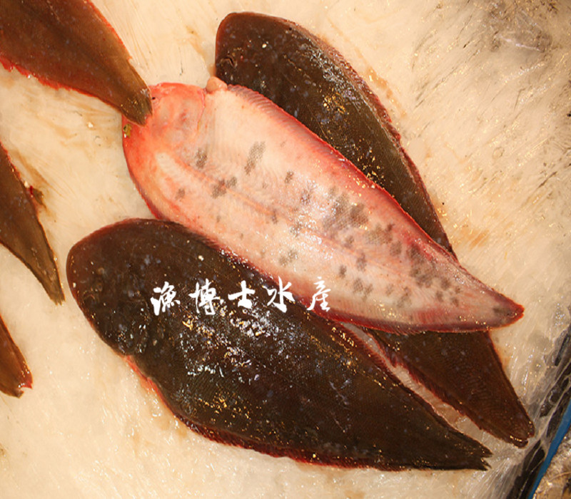 渔博士水产沙秃舟山海鲜舌鳎玉秃比目鱼海秃肉塔野生新鲜野生折扣