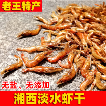 Small shrimp dried shrimp shrimp fresh water salt-free shrimp Hunan Xiangxi Yuanling specialty farmers self-drying 250g