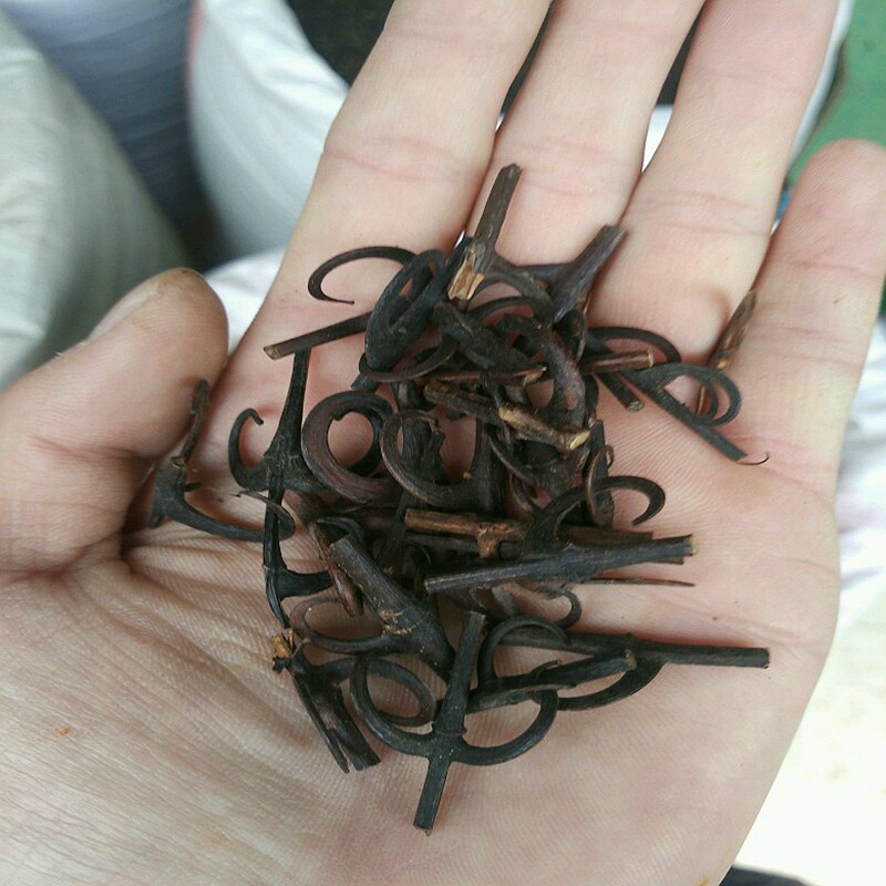 中药材野生钩藤500克钩藤茶钩丁磨粉金钩草吊藤双钩藤正品满包邮