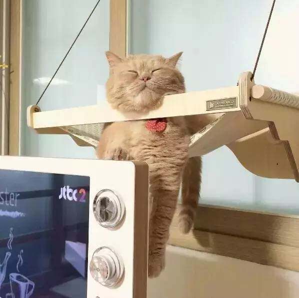 啊, 上吊技能get