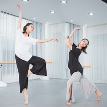Dance practice utility-style body base training big code suit student teacher loose side open fork wide leg pants modern dance