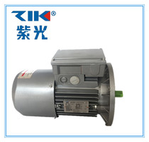 Taizhou ZIK Tsinghua Ziguang YVF100L24 variable frequency speed motor three-phase motor 3KW stepless variable speed motor